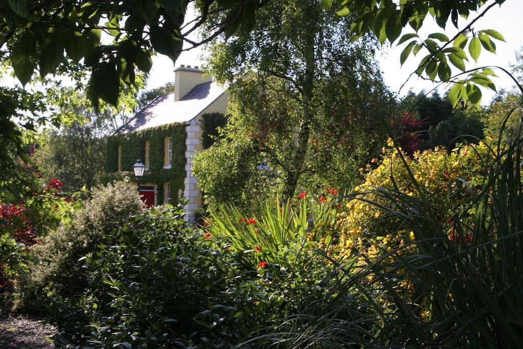 발린로브 Friars Quarter House B&B 외부 사진